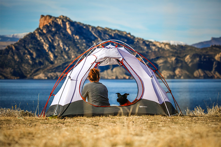 dog and a man sitting under the tent looking at lake
