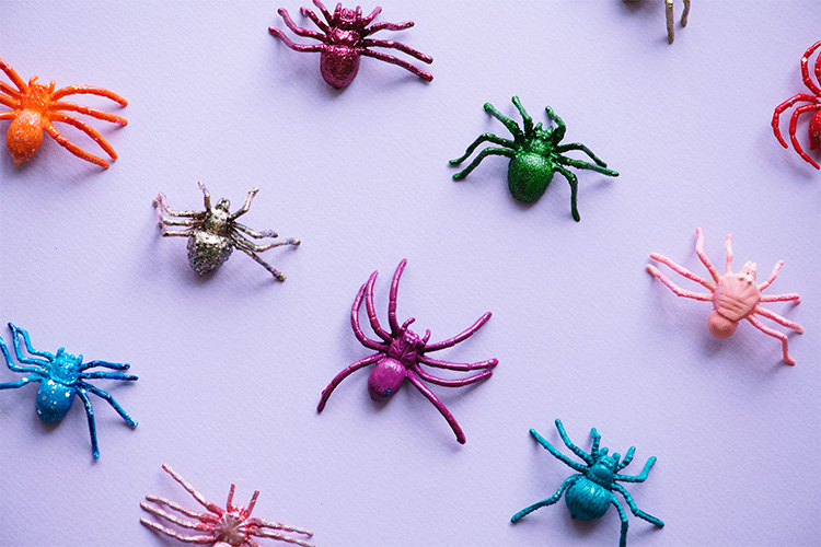 Colourful toy spiders