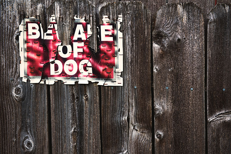 Beware of Dog board