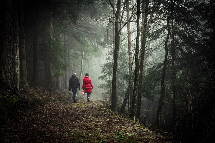 couple walking through green forest